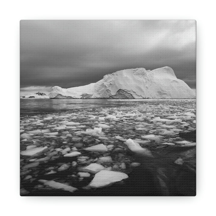 Lane of Ice In Black and White - Canvas