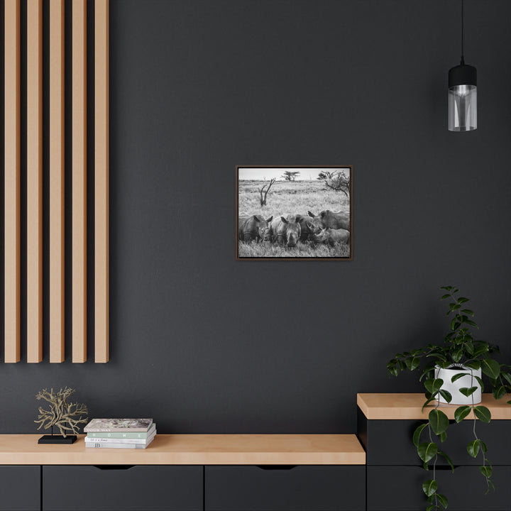 Rhino Family in Black and White - Canvas with Frame