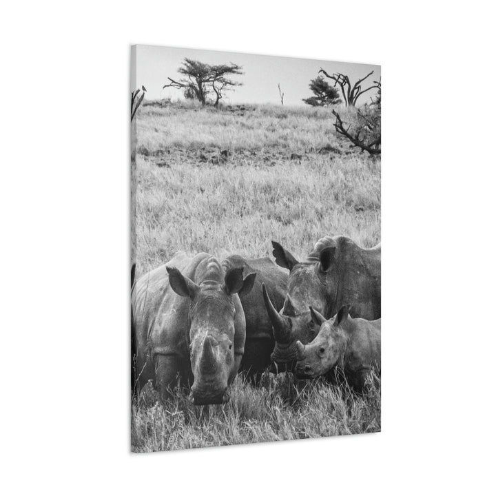 Rhino Family in Black and White - Canvas