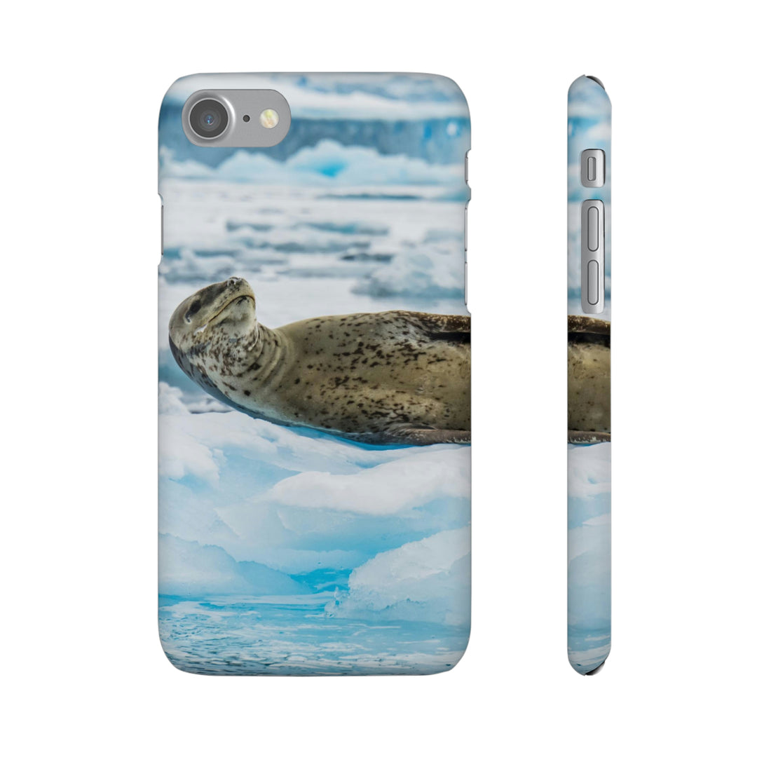 Leopard Seal Relaxing - Phone Case