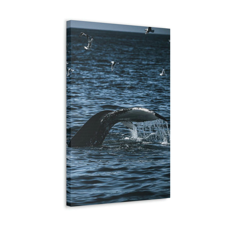 Feeding Tail - Canvas