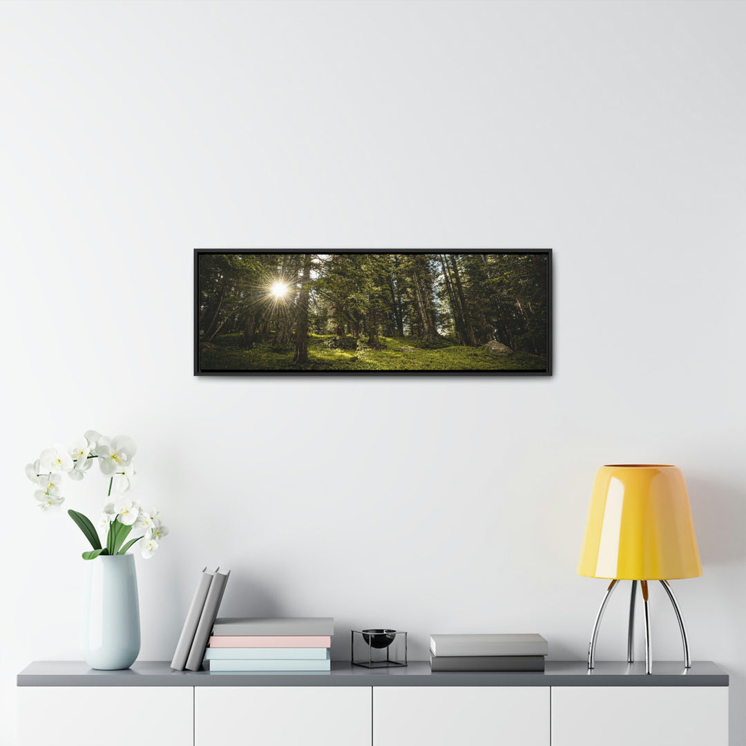 Forest Light - Canvas with Frame