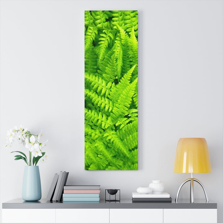 Ferns, Ferns, Ferns - Canvas