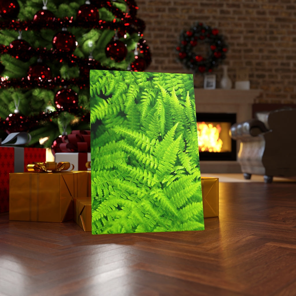 Ferns, Ferns, Ferns - Canvas