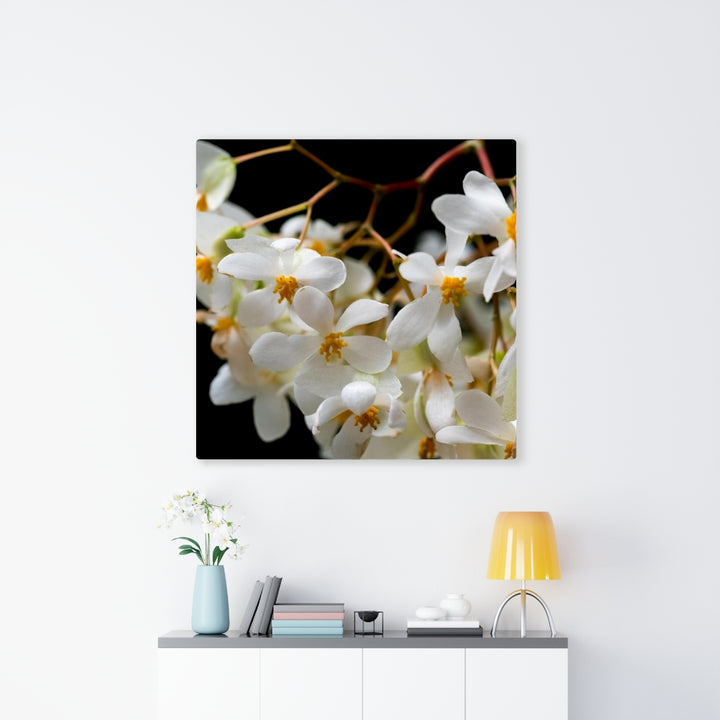 Floral Network - Canvas