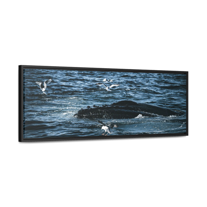 Humpback Hello - Canvas with Frame