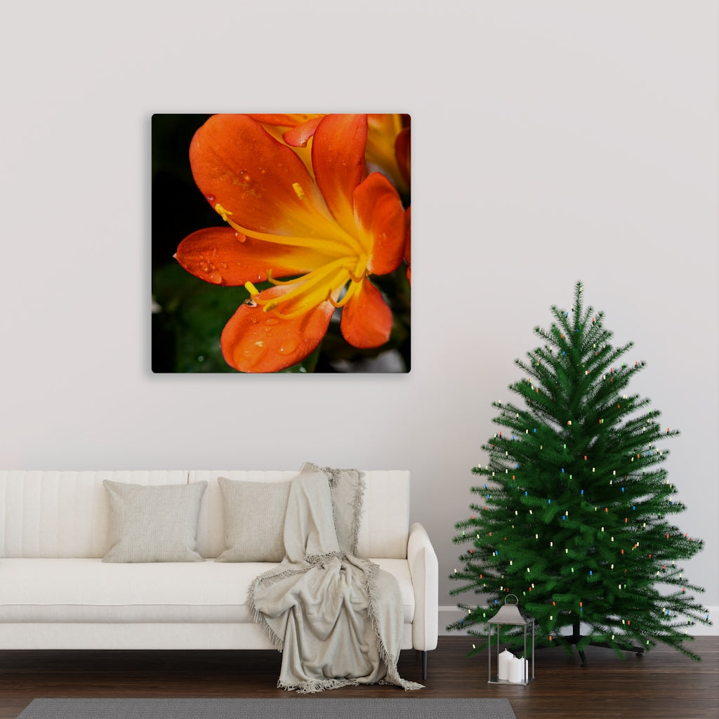 Bright Bush Lily - Canvas