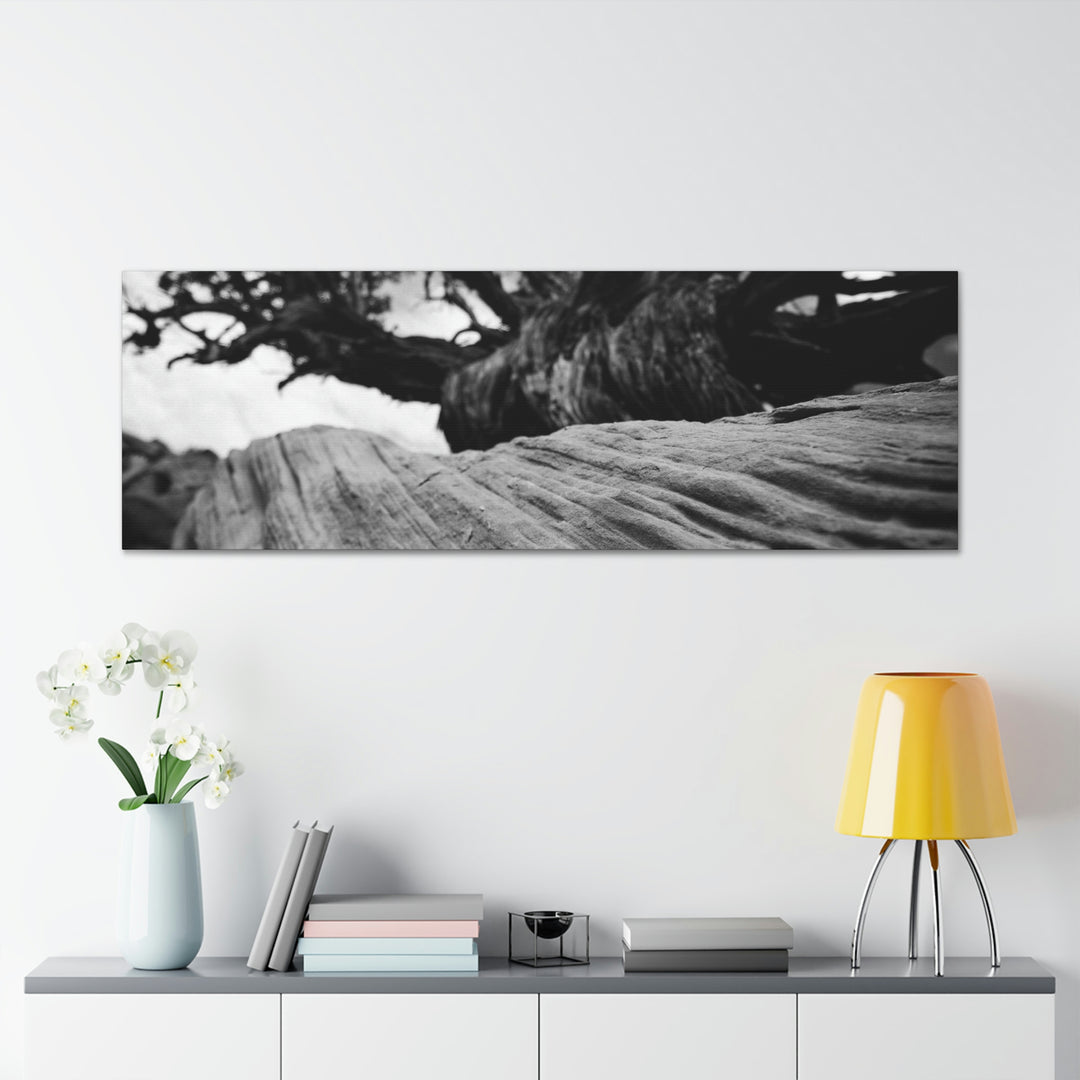 Desert Reach in Black and White - Canvas