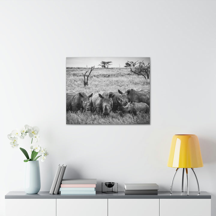 Rhino Family in Black and White - Canvas