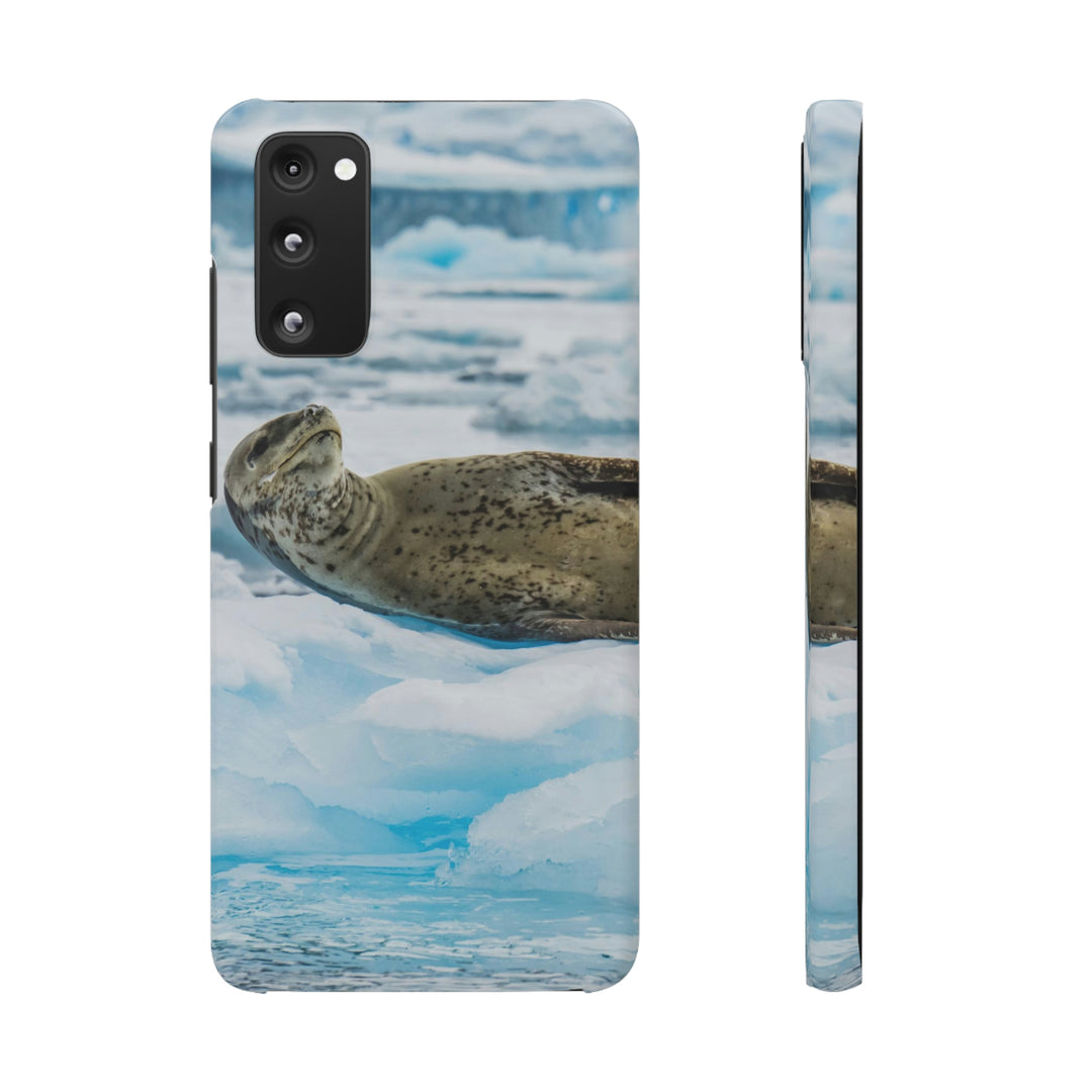 Leopard Seal Relaxing - Phone Case