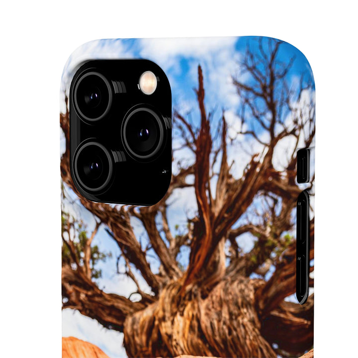 Desert Reach - Phone Case