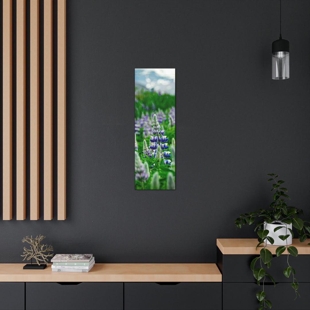 Glowing Lupin with Mountains - Canvas