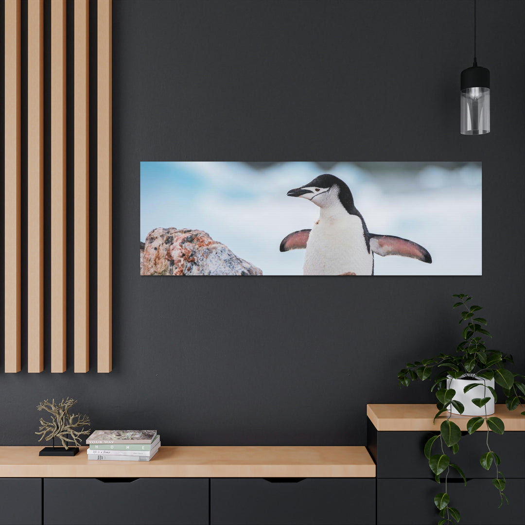 Stretched Penguin - Canvas