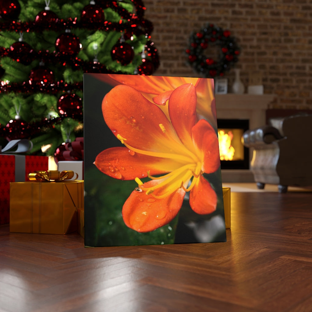 Bright Bush Lily - Canvas