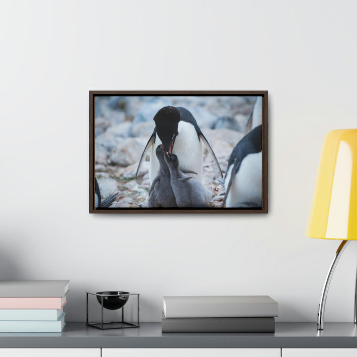 Feeding Time - Canvas with Frame