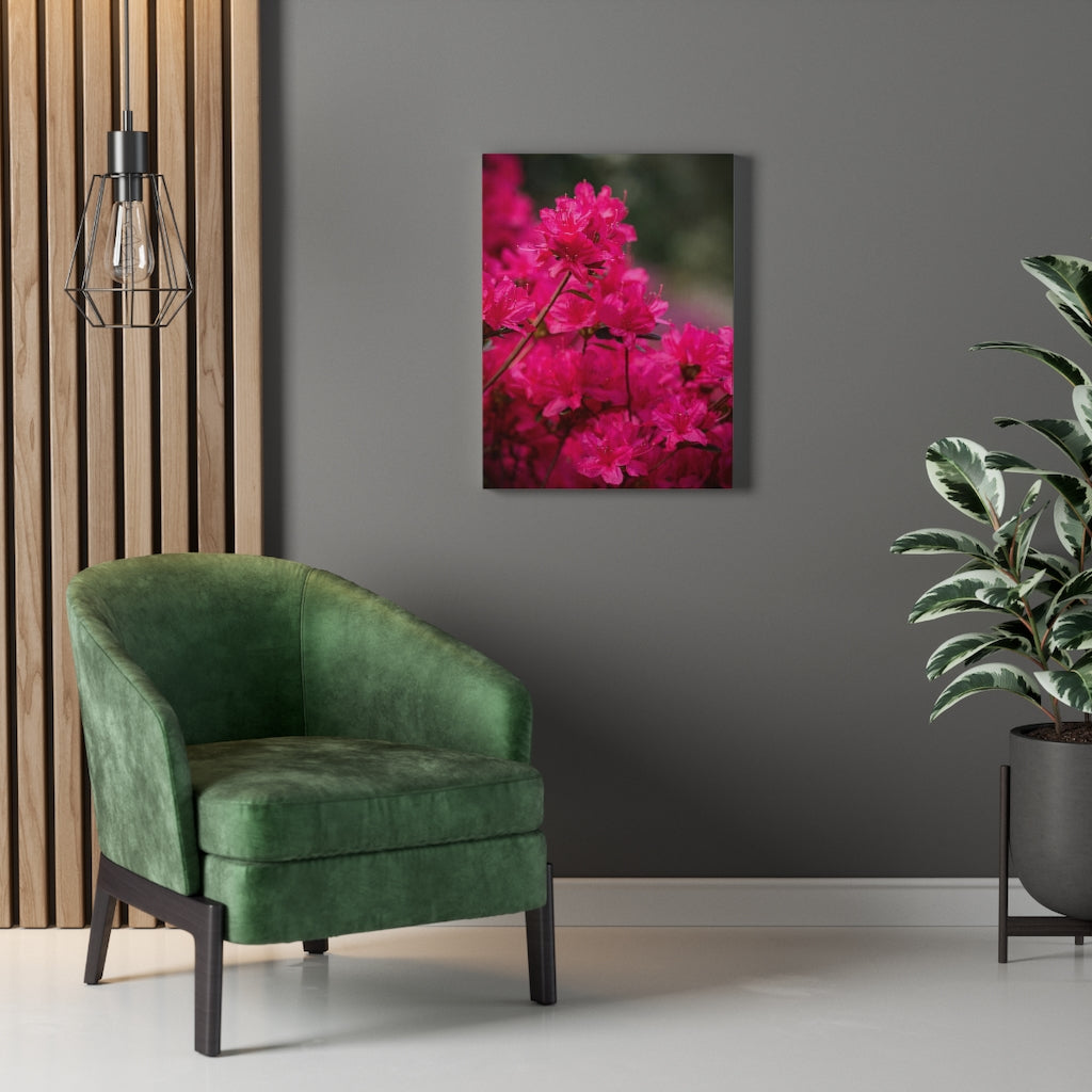 Full Bloom - Canvas