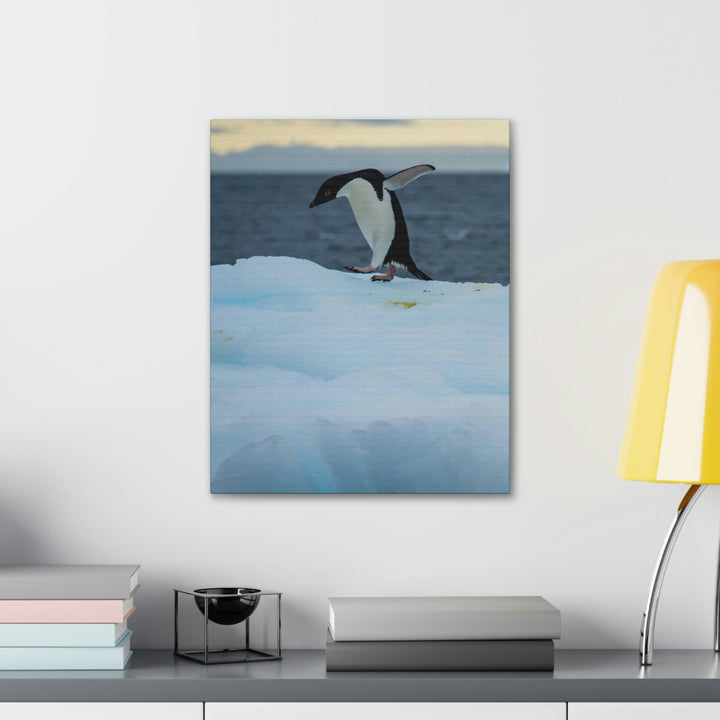 Penguin Dance - Canvas