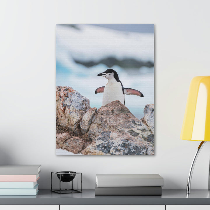 Stretched Penguin - Canvas