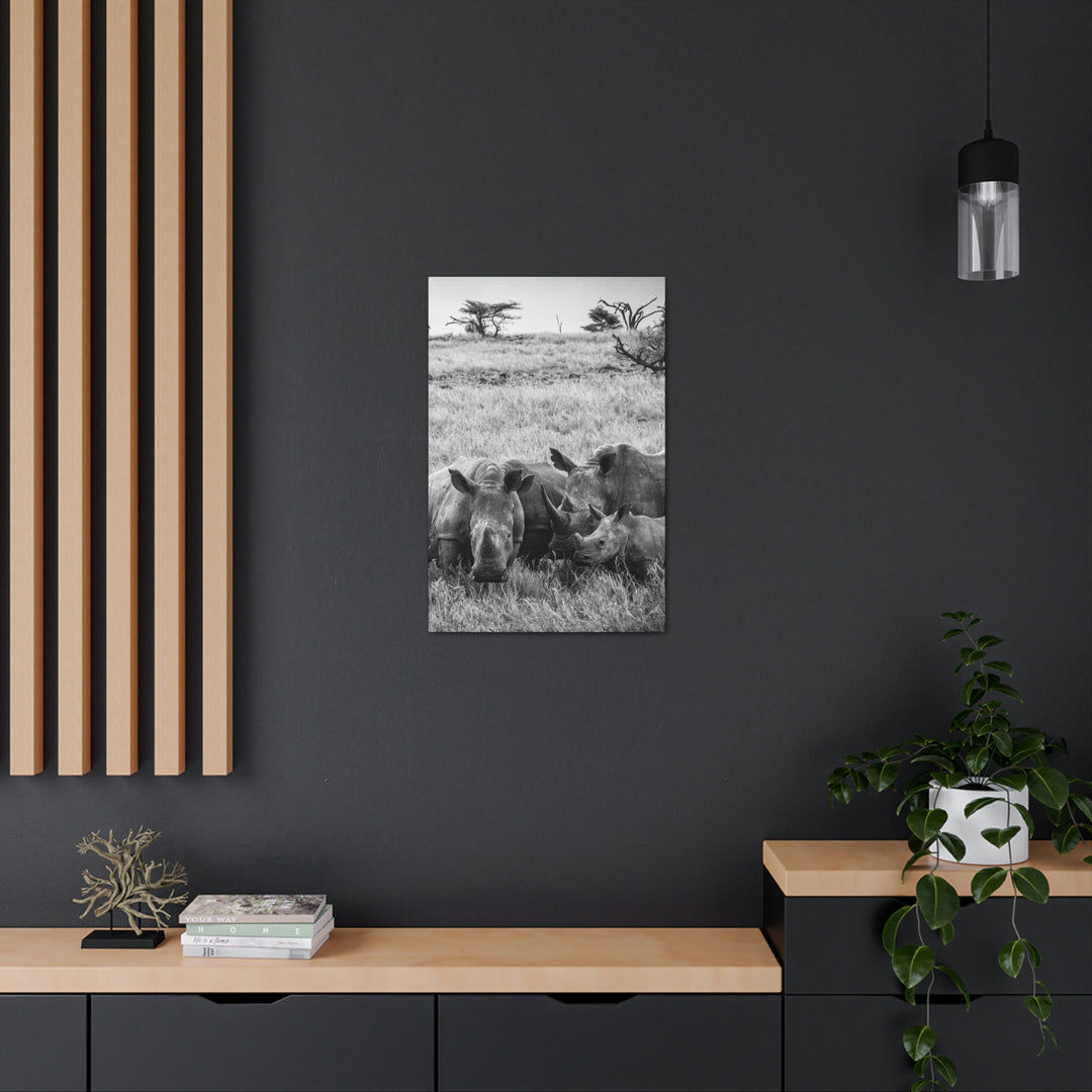 Rhino Family in Black and White - Canvas