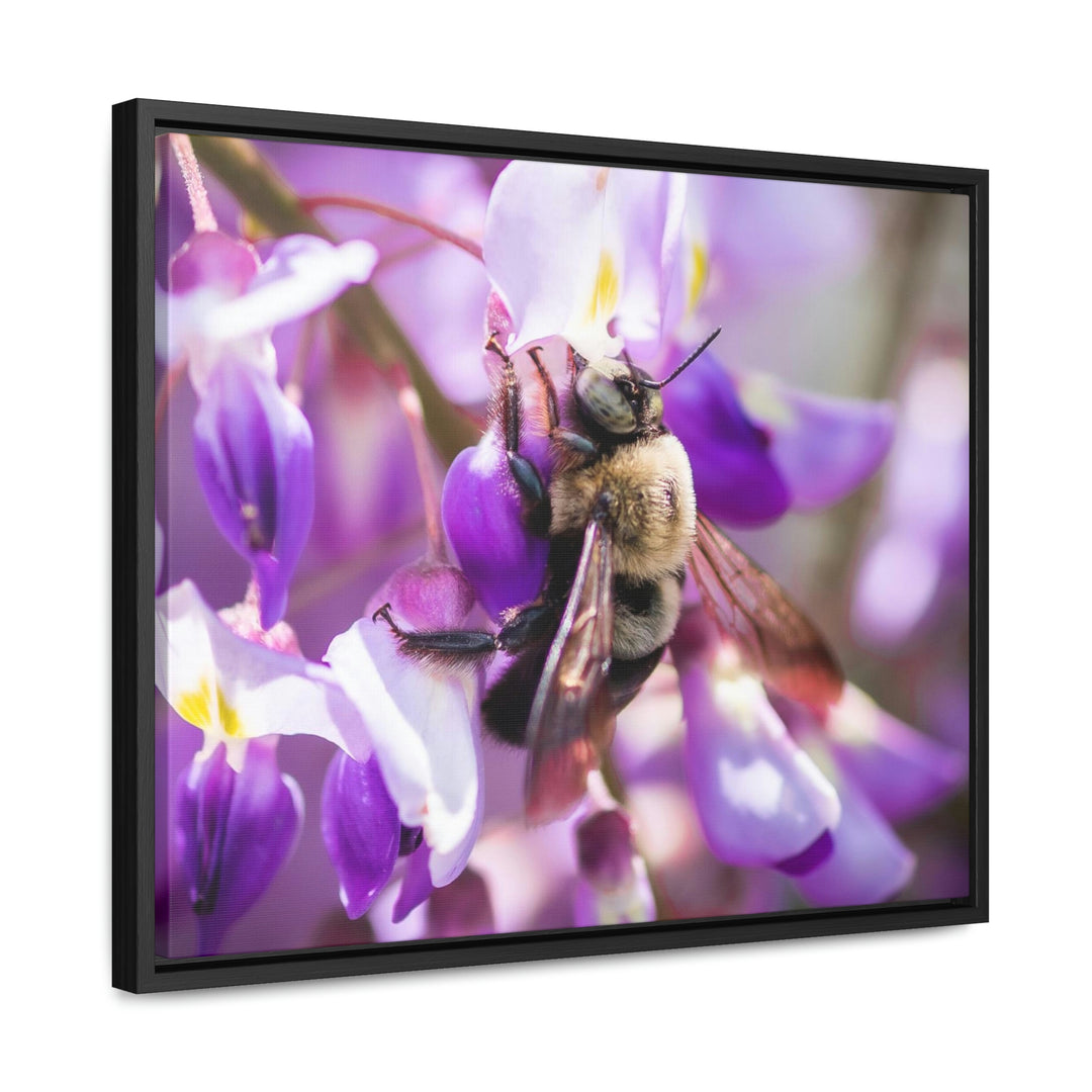 Hungry Visitor - Canvas with Frame