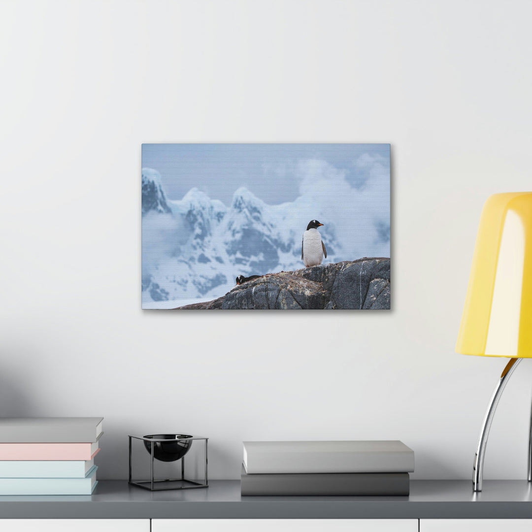 Poised Penguin - Canvas