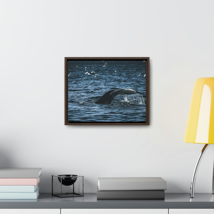 Feeding Tail - Canvas with Frame