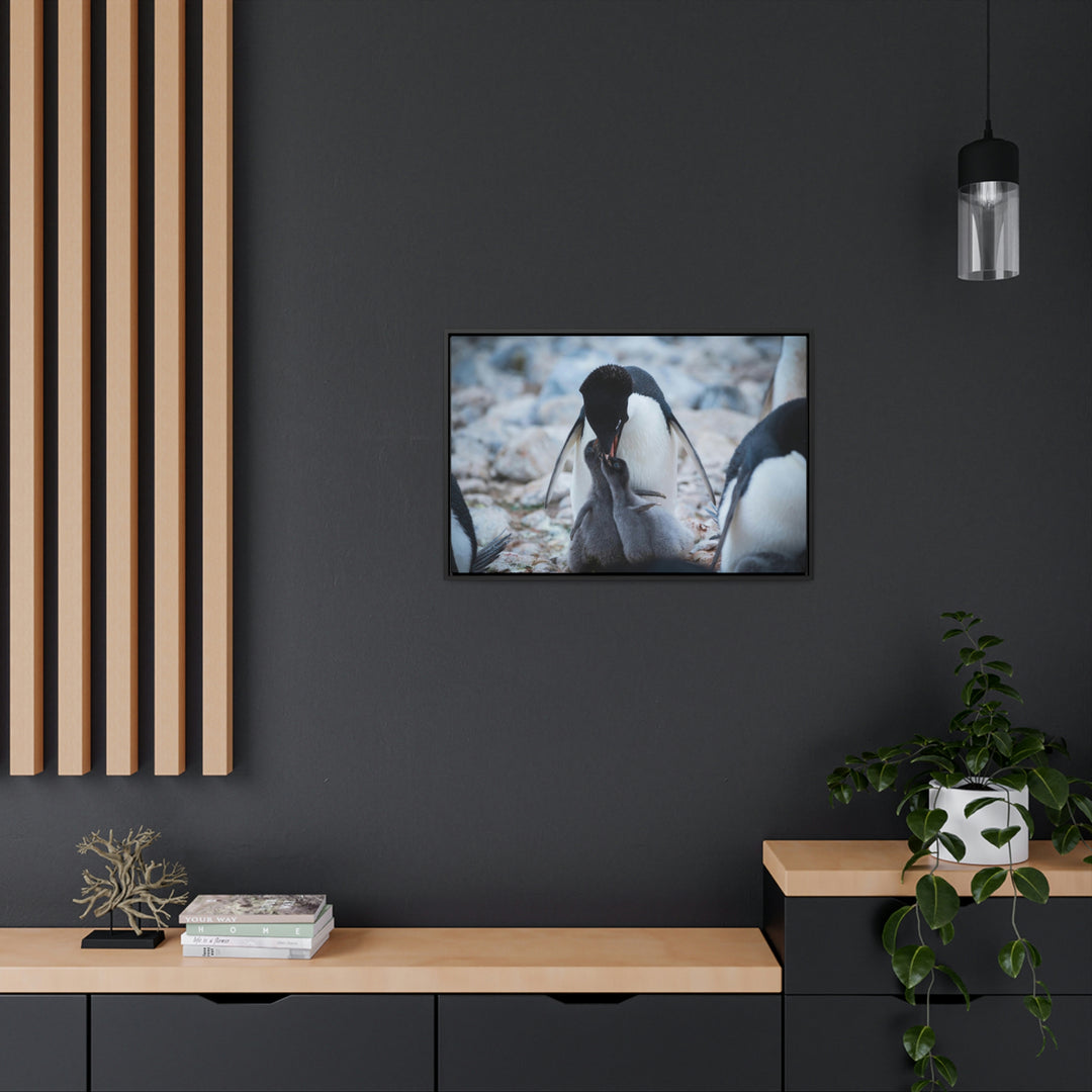 Feeding Time - Canvas with Frame