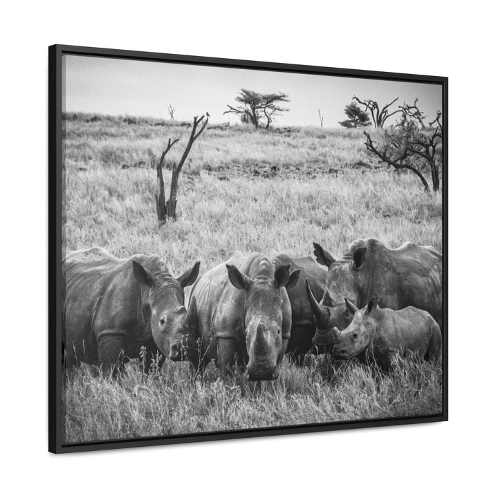 Rhino Family in Black and White - Canvas with Frame