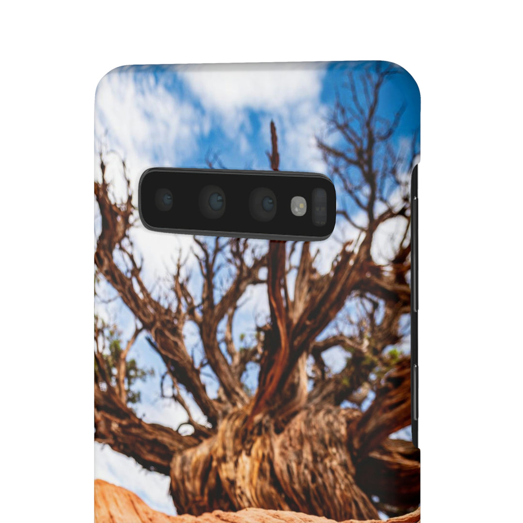 Desert Reach - Phone Case