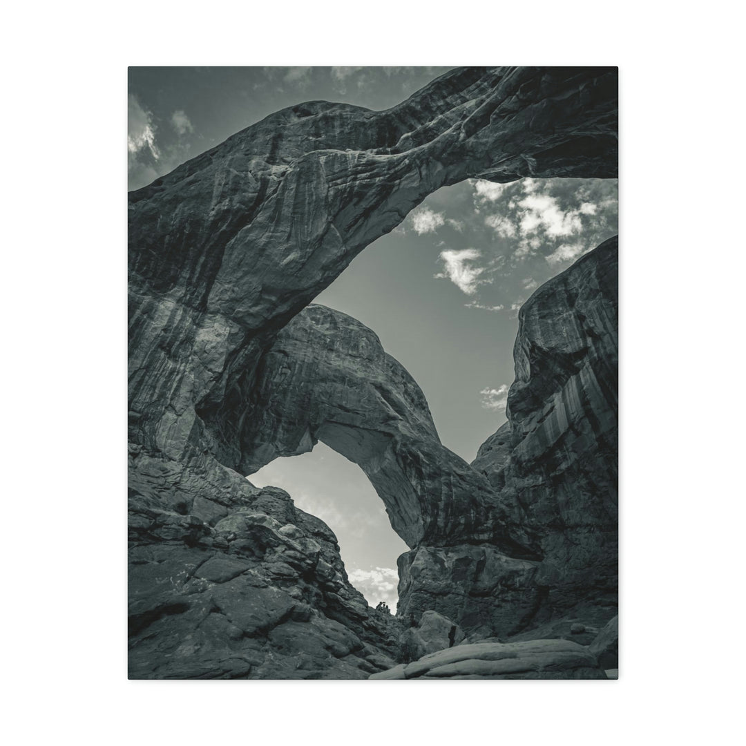 Natural Frames Part 4 in Black and White - Canvas