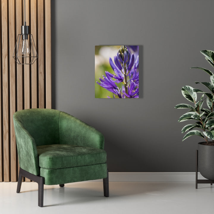 Camas in Bloom - Canvas