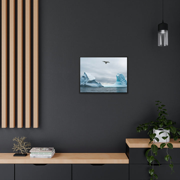 Antarctic Flight - Canvas with Frame