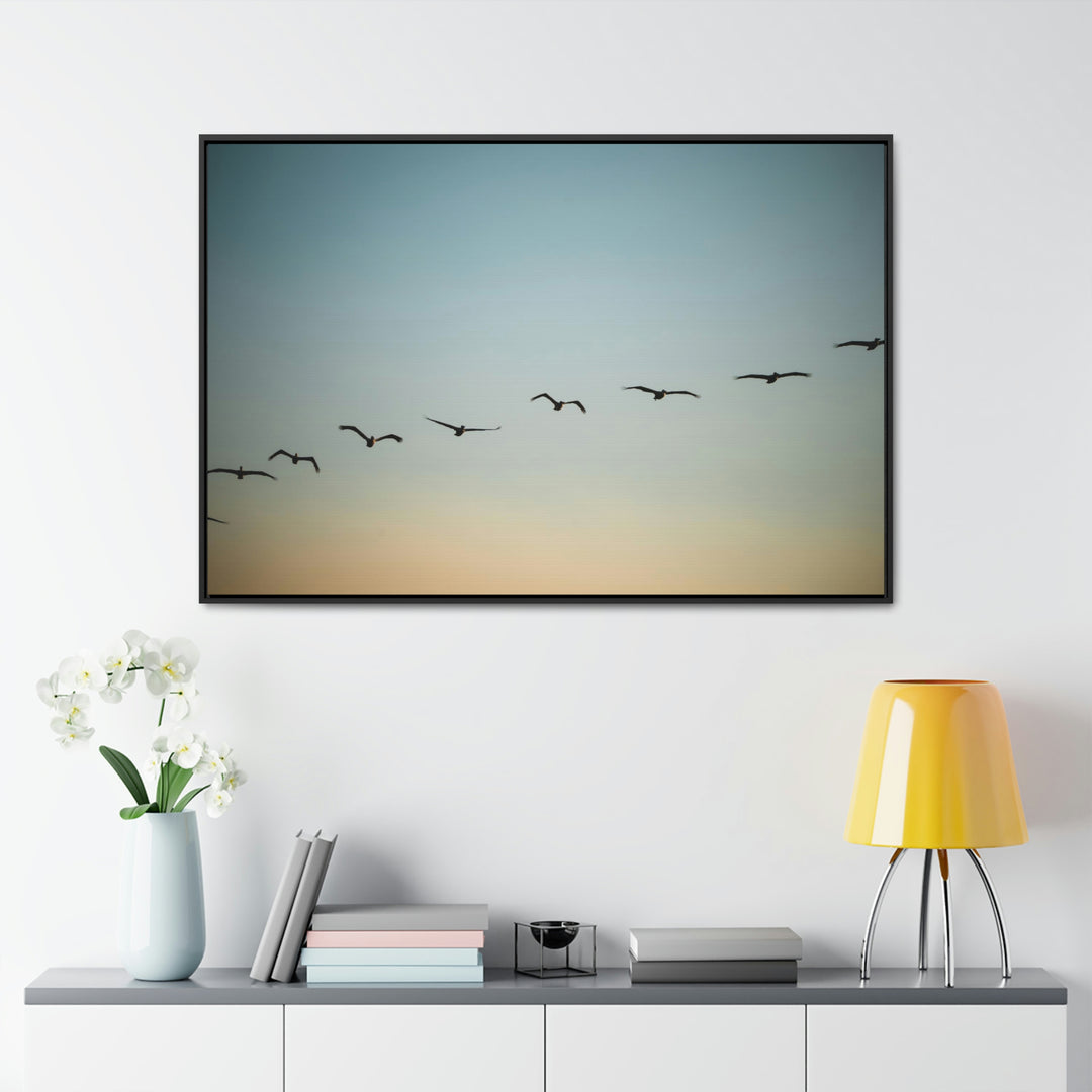 Brown Pelicans in Flight - Canvas with Frame