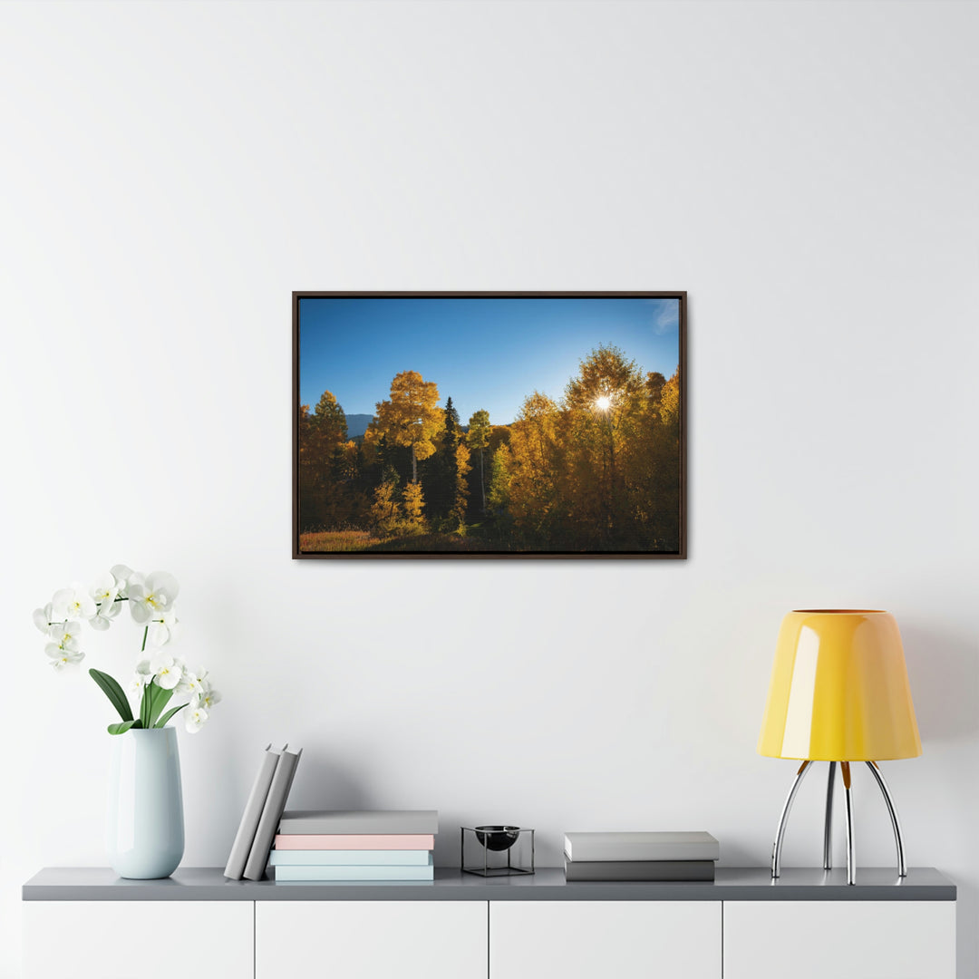 Sun Through the Aspens - Canvas with Frame