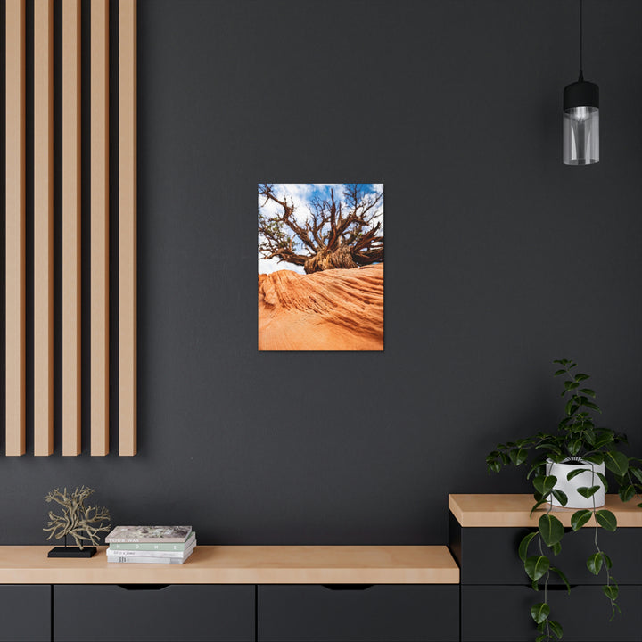 Desert Reach - Canvas