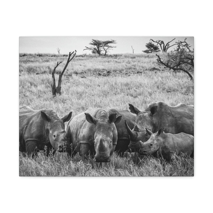 Rhino Family in Black and White - Canvas