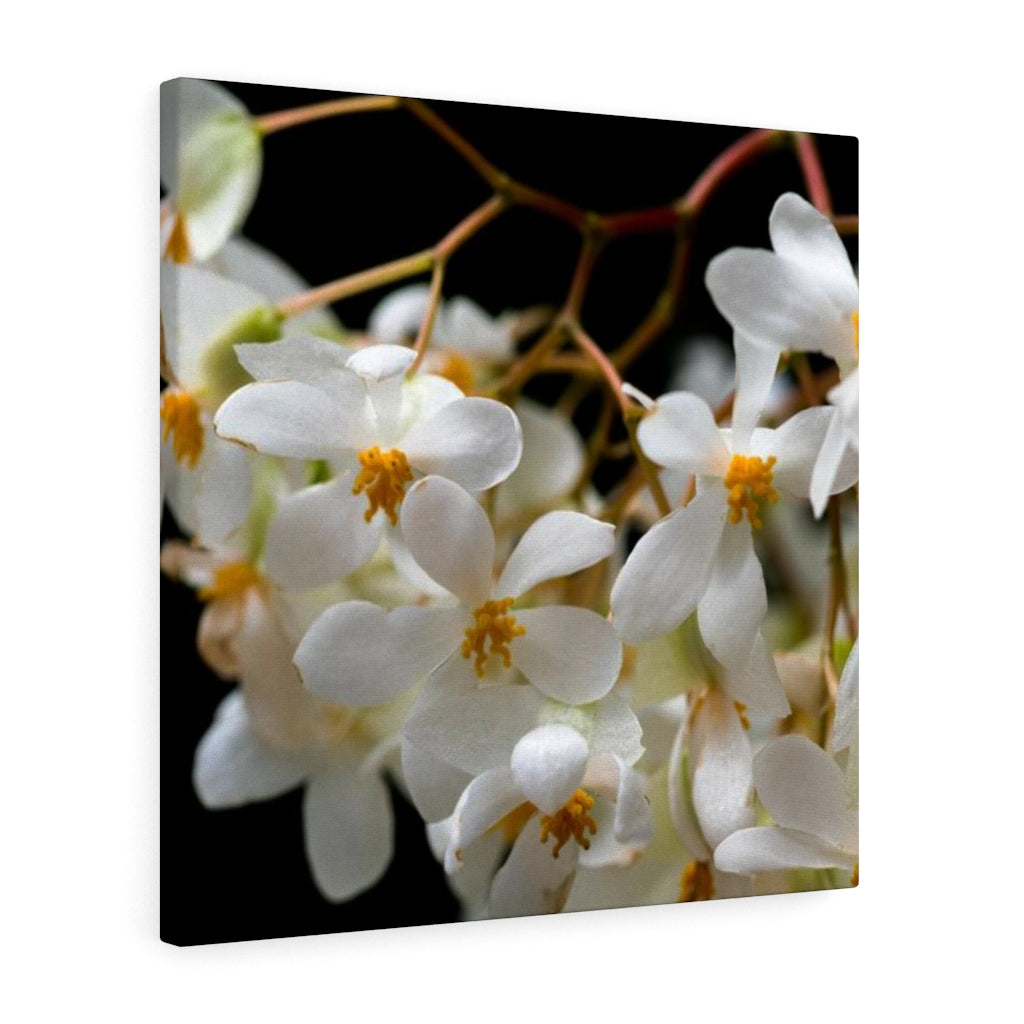 Floral Network - Canvas