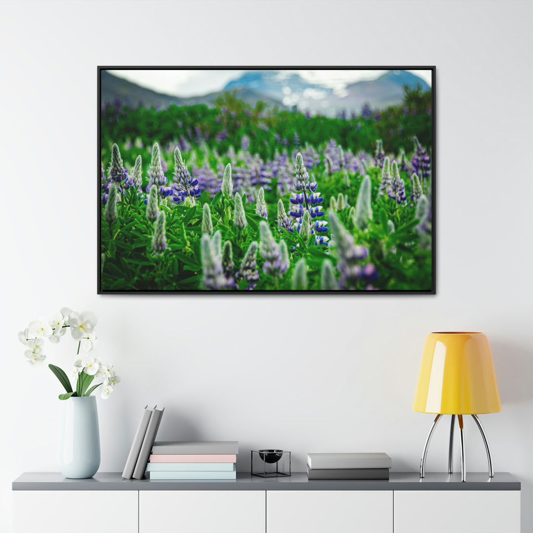 Glowing Lupin with Mountains - Canvas with Frame