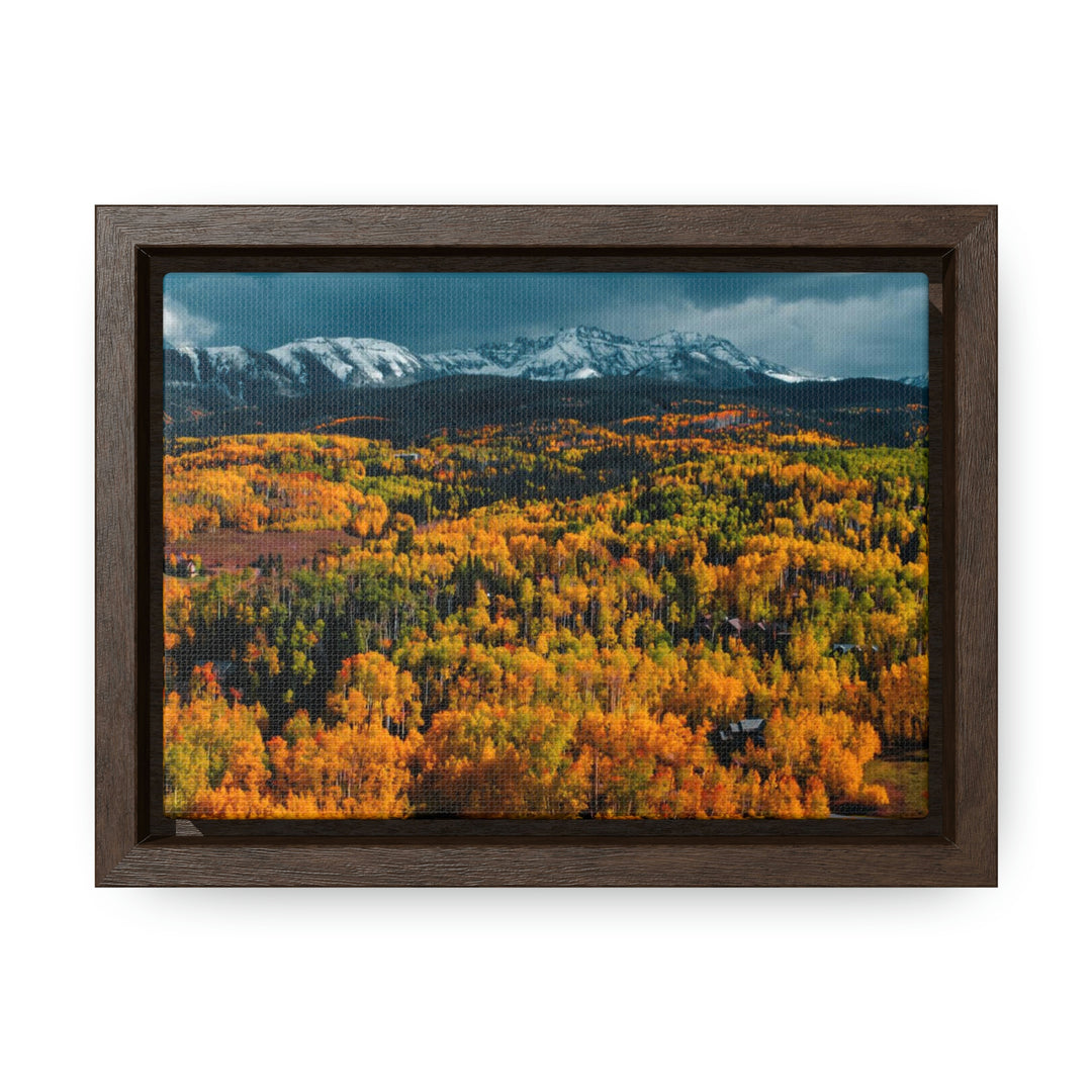 Golds of Autumn - Canvas with Frame