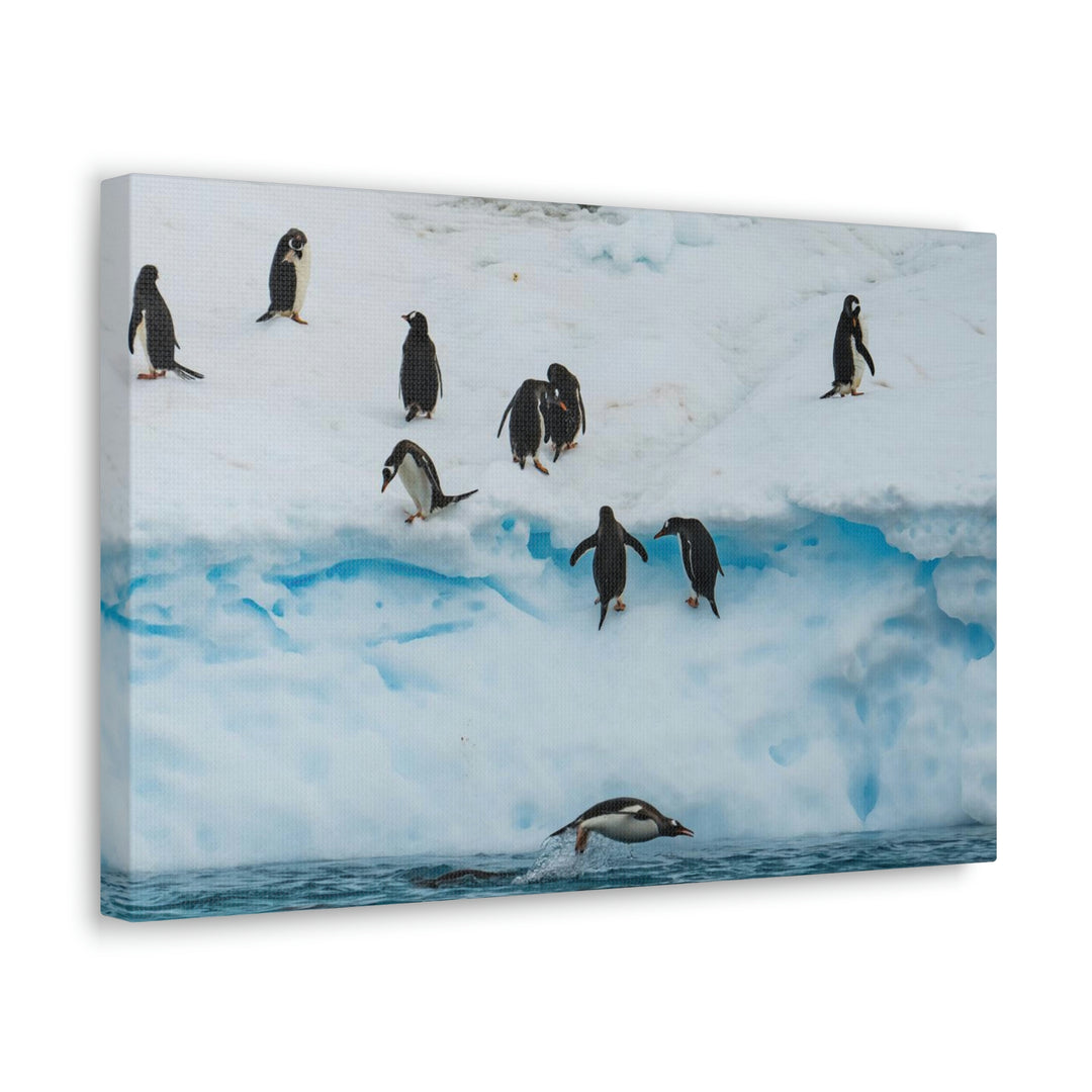 Porpoising Penguin - Canvas