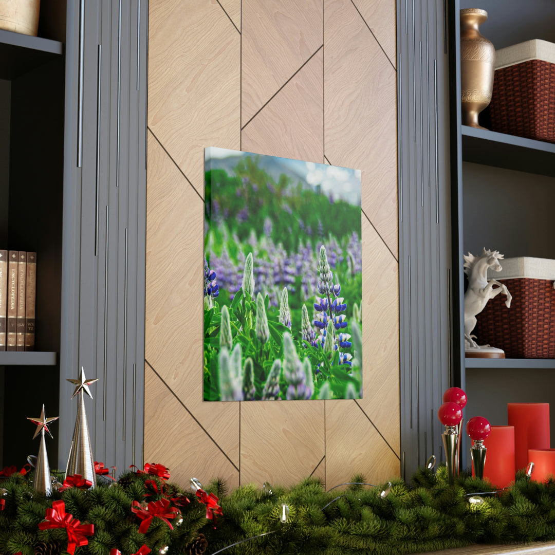 Glowing Lupin with Mountains - Canvas