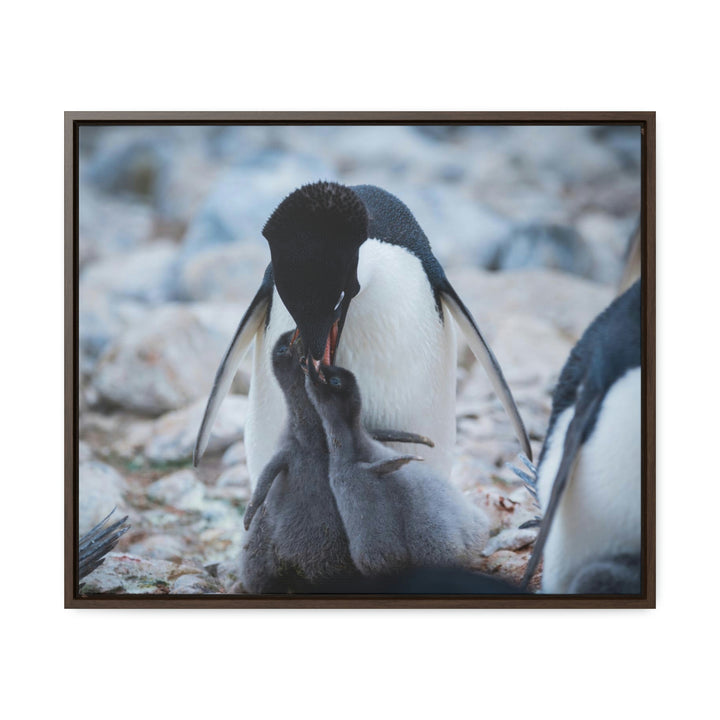 Feeding Time - Canvas with Frame