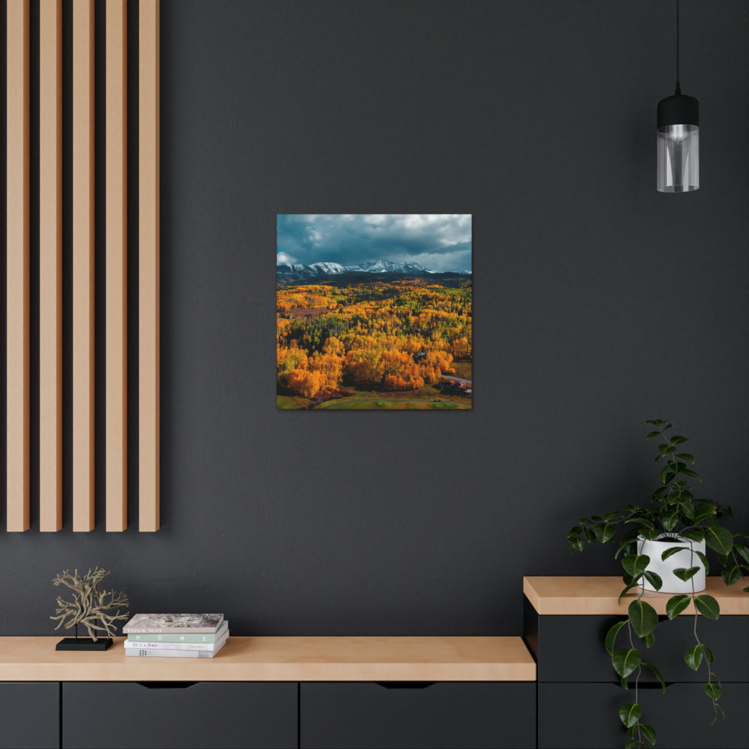 Golds of Autumn - Canvas