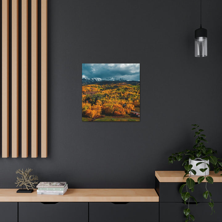 Golds of Autumn - Canvas