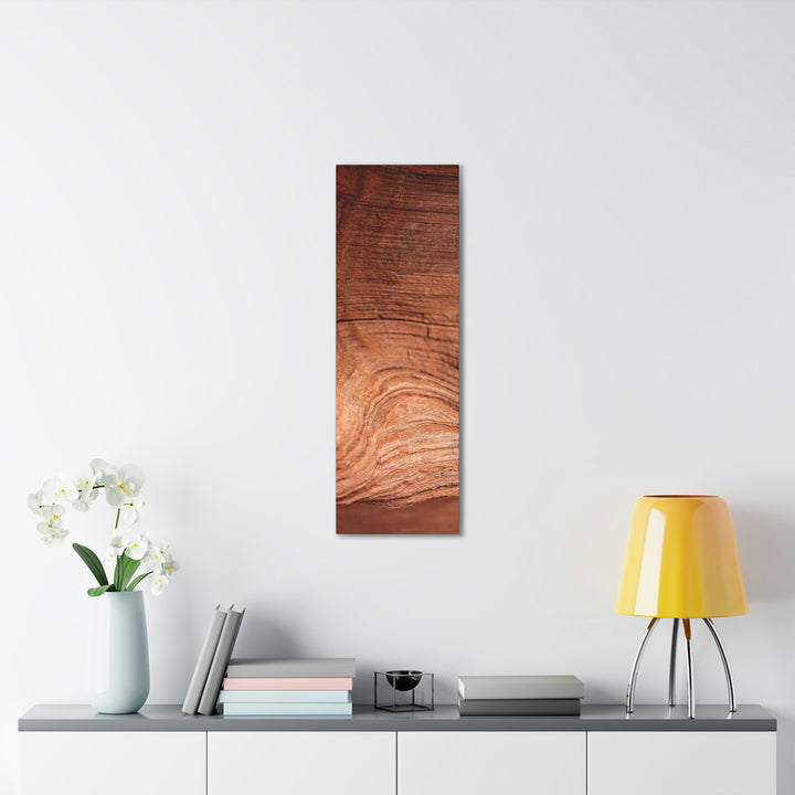 Sedimentary Rock Curves - Canvas