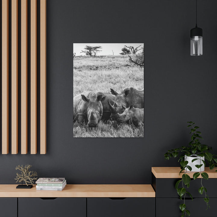 Rhino Family in Black and White - Canvas