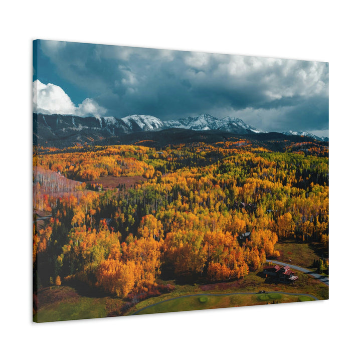 Golds of Autumn - Canvas