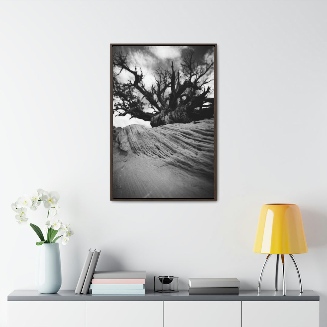 Desert Reach in Black and White - Canvas with Frame