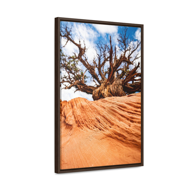 Desert Reach - Canvas with Frame