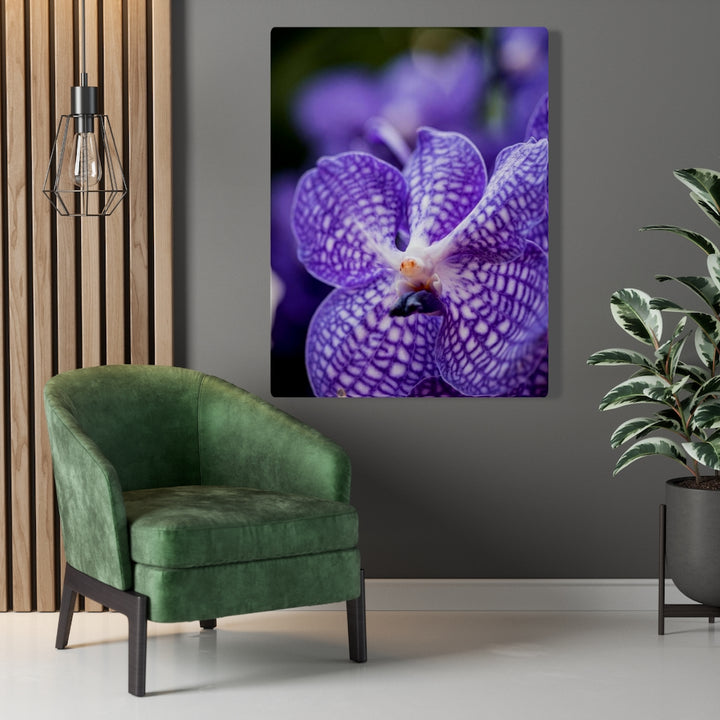 Orchid Detail - Canvas